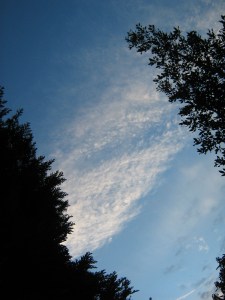 4416004c4a8c512169259e446824f98420b6739b